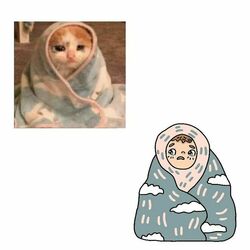 котомем