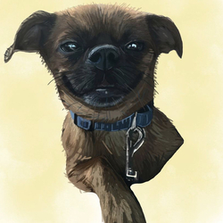 Весёлый пёс 