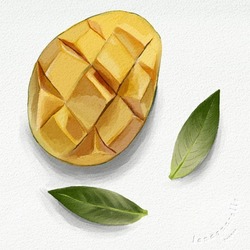 Watercolor mango