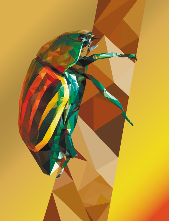 Жук Фестивальный