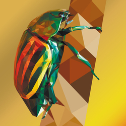 Жук Фестивальный