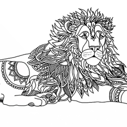 lion