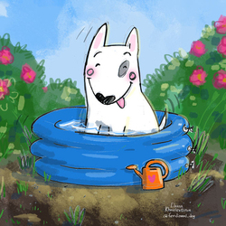 жара бассейн пес