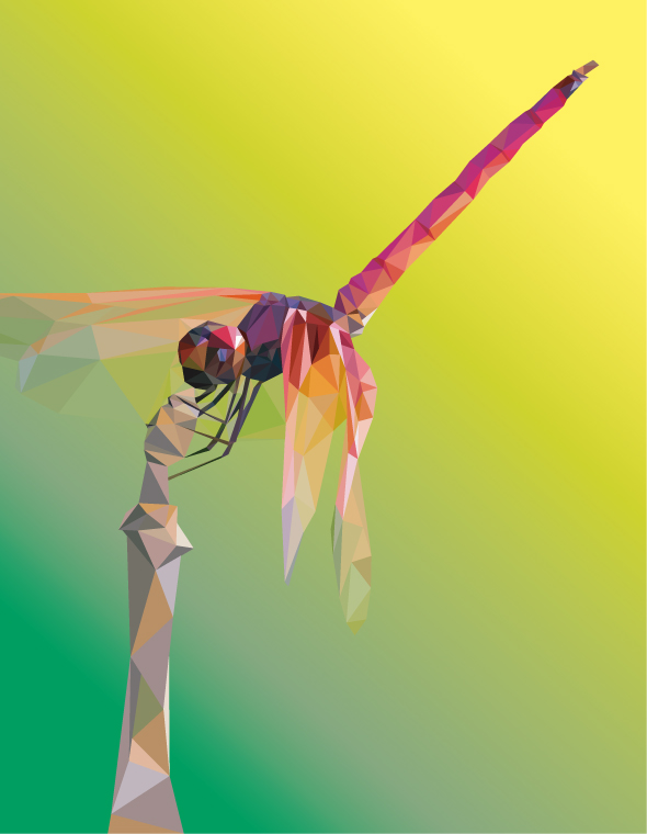 Розовая стрекоза