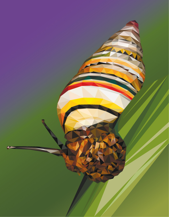 Радужная улитка