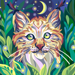 Night Lynx