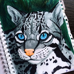 Дымчатый леопард