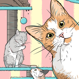 Коты, животные, домашние питомцы, векторная иллюстрация
