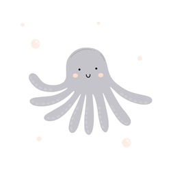 octopus