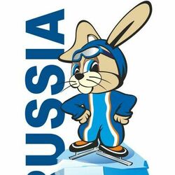 Талисман для соревнование по конькобежному  порту