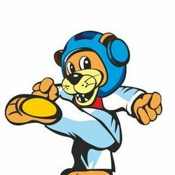 Талисманы для соревнований по Тэквандо