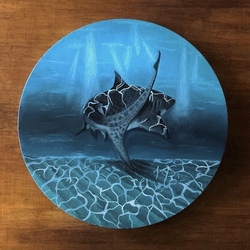 Акула маслом