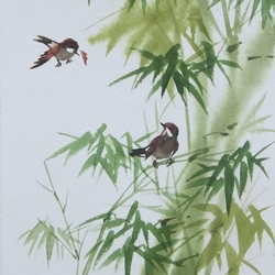 Воробьи в бамбуковом лесу