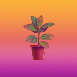 цветок в горшке