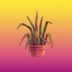 цветок в горшке