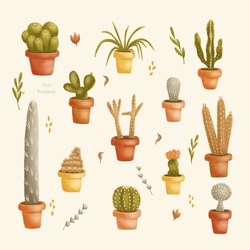 Cacti