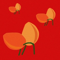 Танго-манго