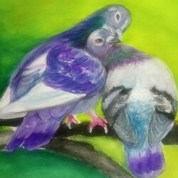 Любовь и голуби