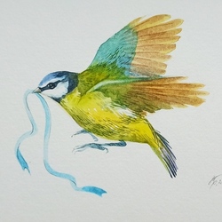 Серия про птиц