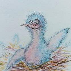 К стихам "Птенец голубя"