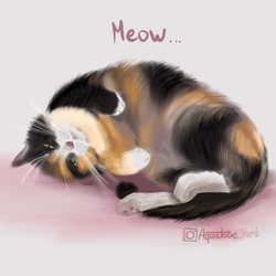 Meow