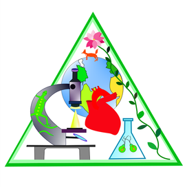 Биологическая иллюстрация