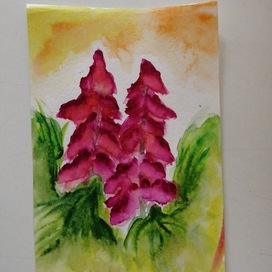 Наперстянка