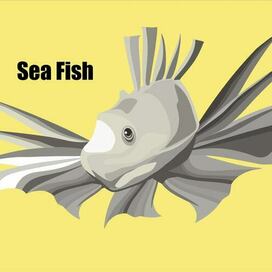sea fish