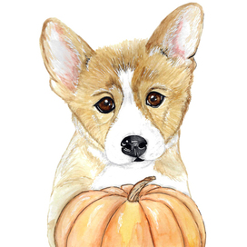 щенок с тыквой