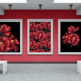 Peonies Gallery