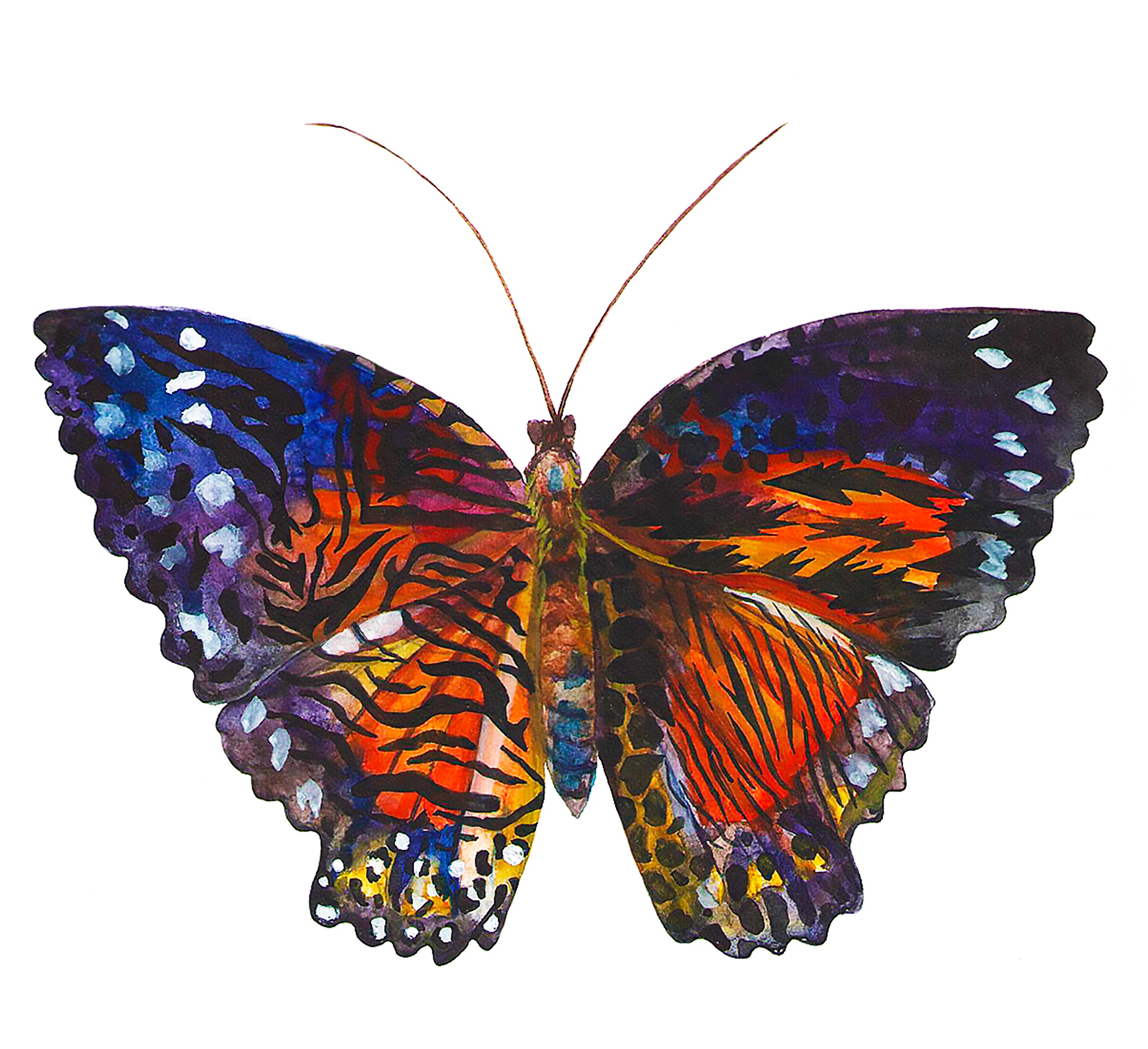 Бабочка монарх