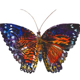 Бабочка монарх