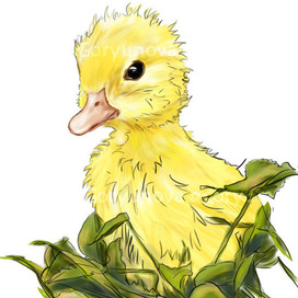 Little duck (digital)