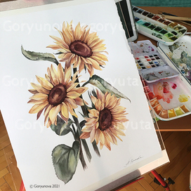 Sunflowers (life style photo)