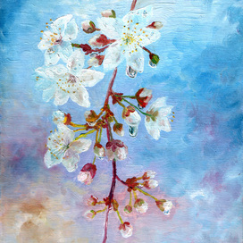 Цветы яблони