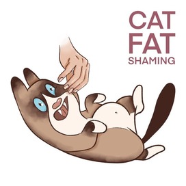 Cat shamibg
