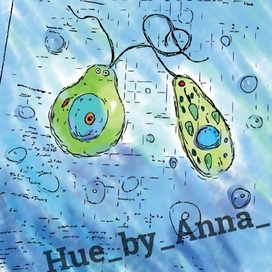 Хламидомонада и эвглена