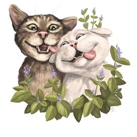 Коты мятная дружба