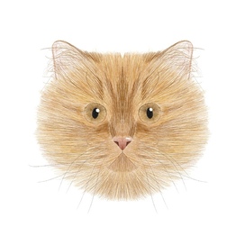 Портрет Кота Арчибальда