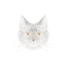 Портрет Кошки Муси