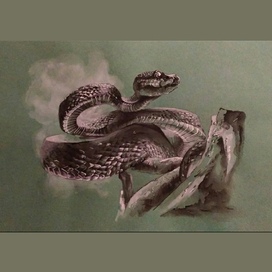 Иллюстрация "Змейка"