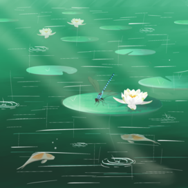 Water lilies