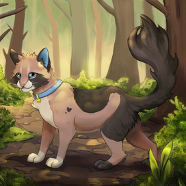 Кастомный котик 