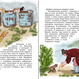 Иллюстрация для книги "Патрик кошачье счастье"