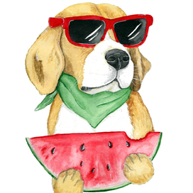 Собака с арбузом