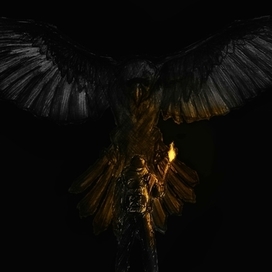 Чёрный ворон