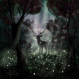 Магия леса