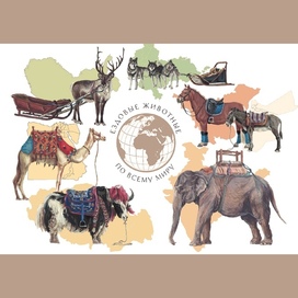 ездовые животные по всему миру