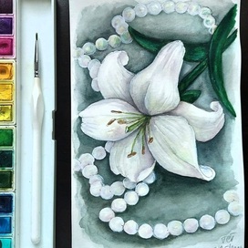 Жемчужная лилия 