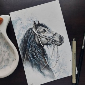 Жизнь одной лошади